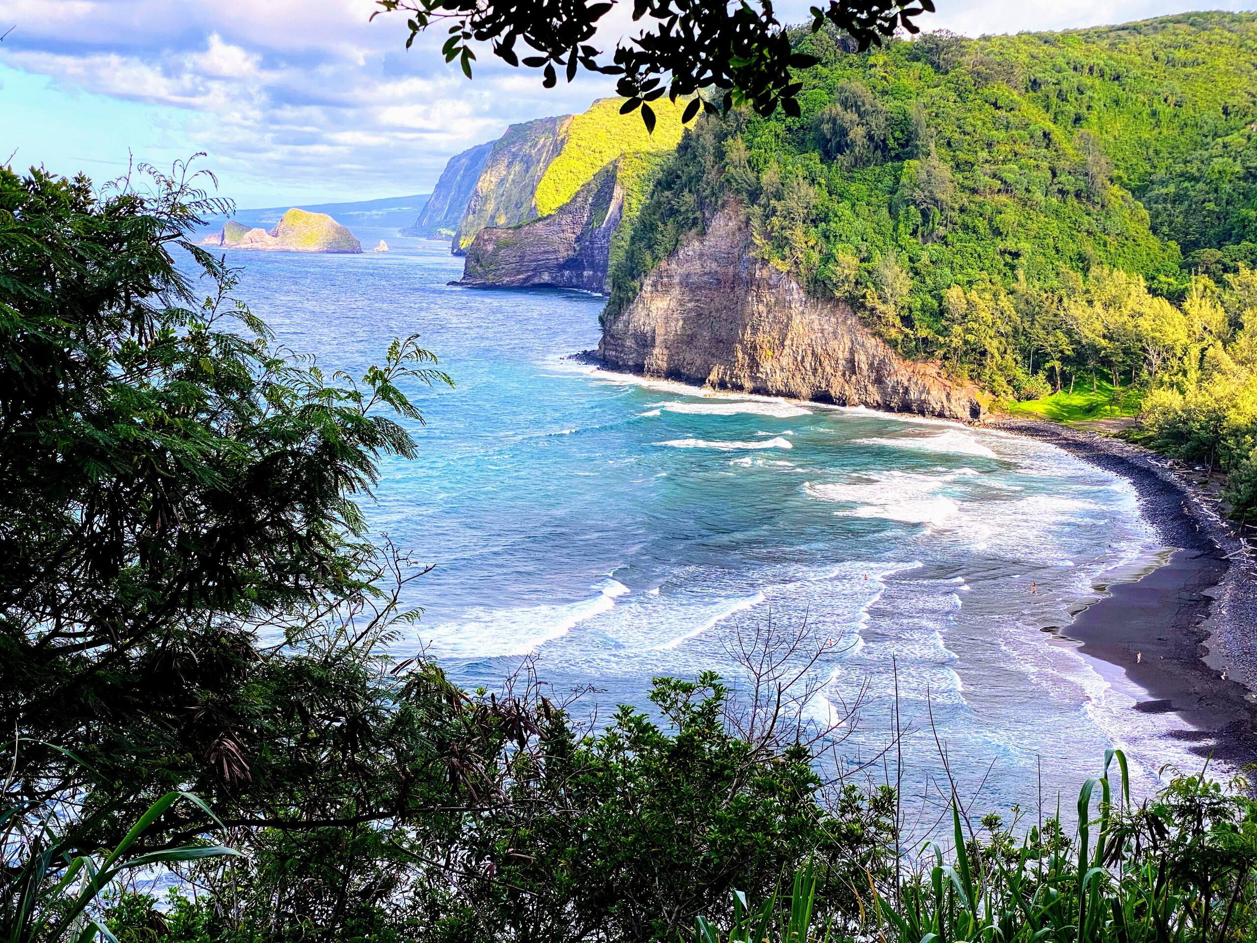 Aloha Cottage Upcountry Epic Views in Kohala - Photo 34