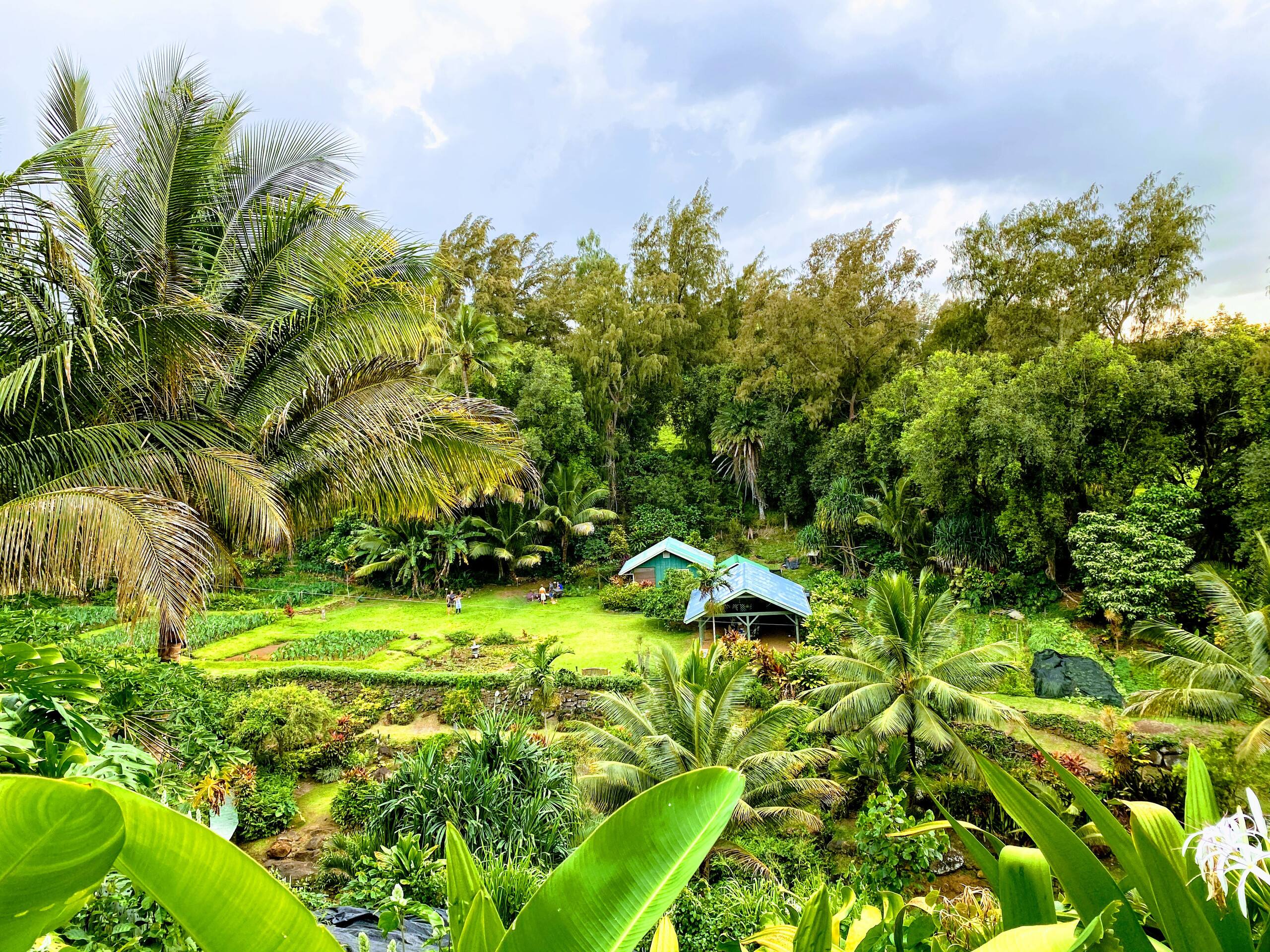 Aloha Cottage Upcountry Epic Views in Kohala - Photo 56