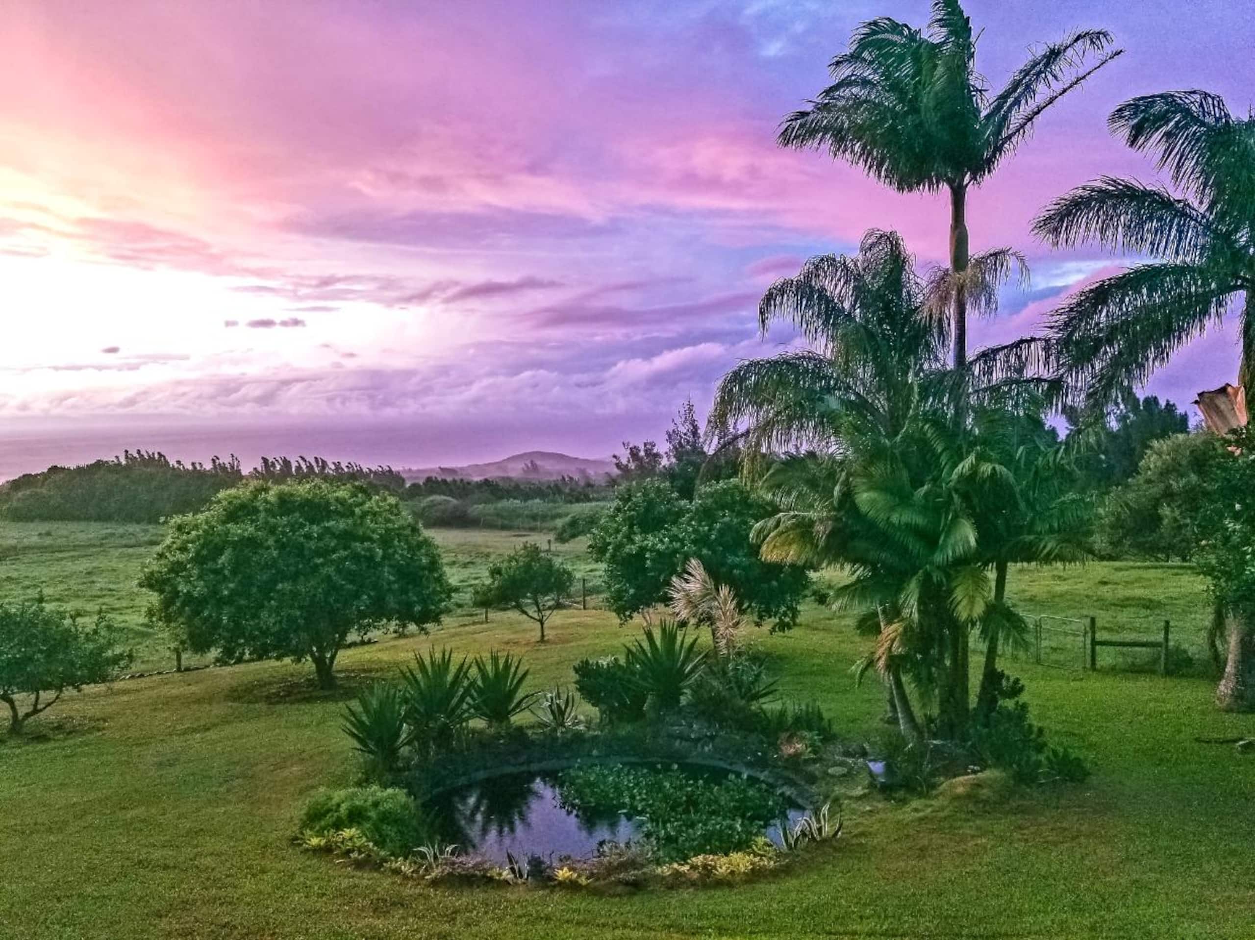 Aloha Cottage Upcountry Epic Views in Kohala - Photo 42