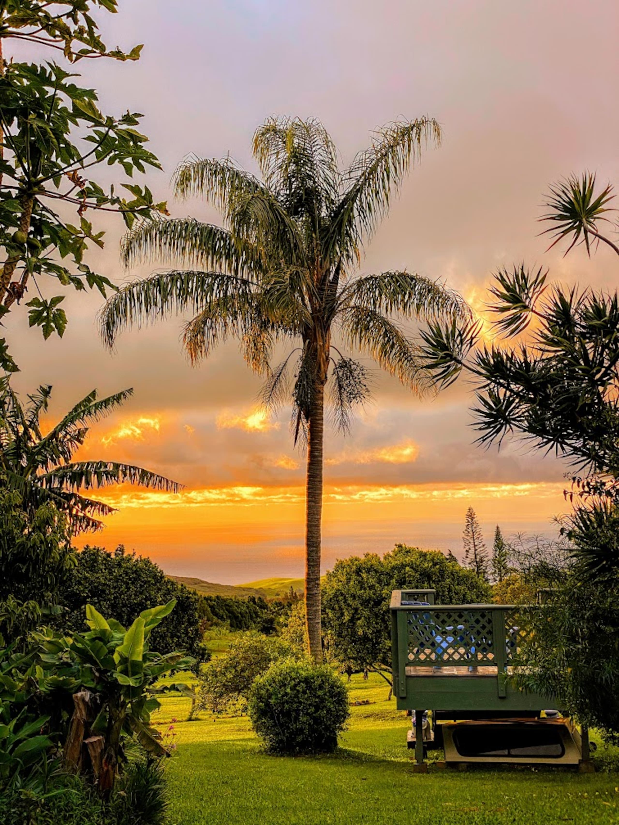 Aloha Cottage Upcountry Epic Views in Kohala - Photo 29
