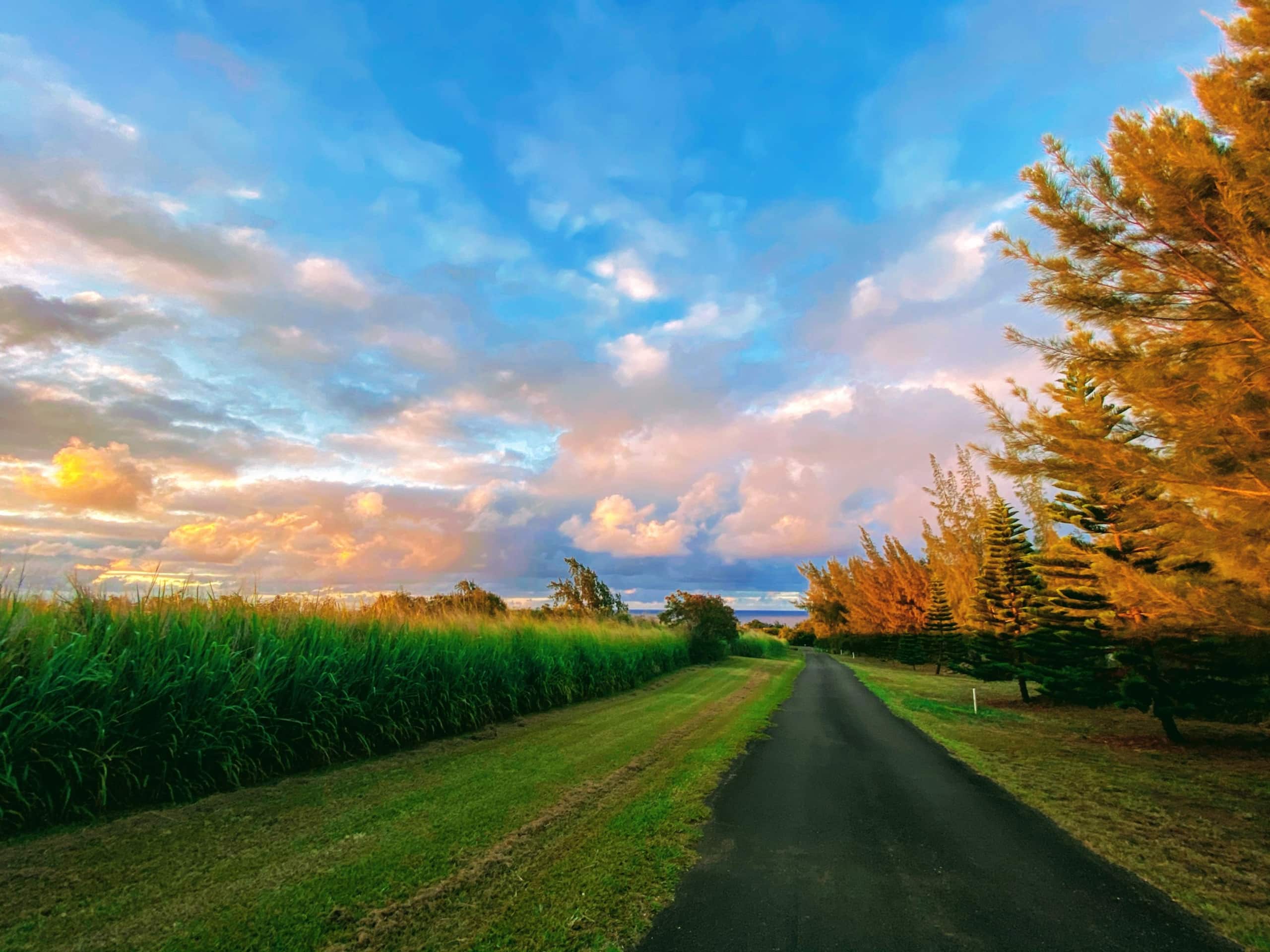 Aloha Cottage Upcountry Epic Views in Kohala - Photo 37