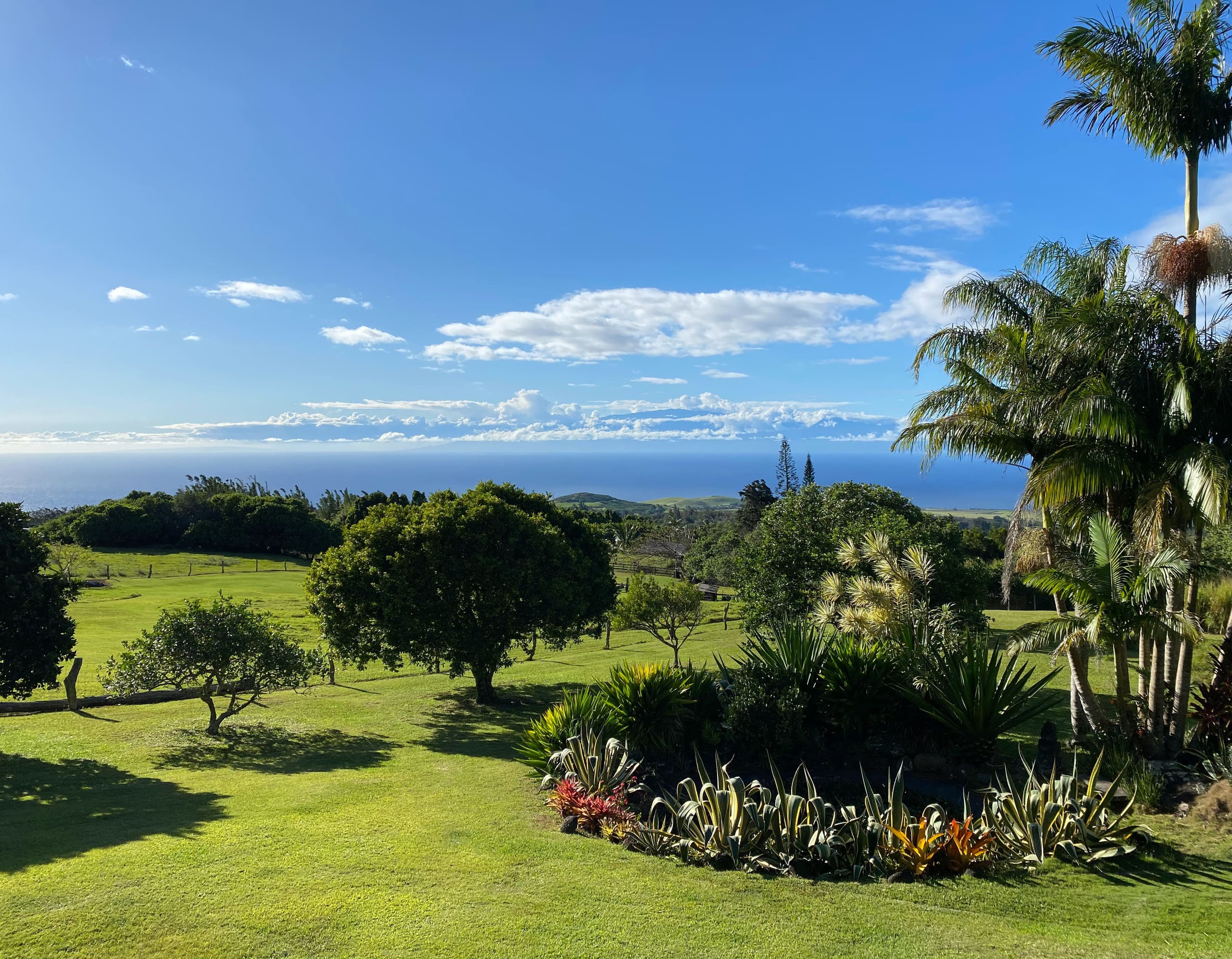 Aloha Cottage Upcountry Epic Views in Kohala - Photo 25
