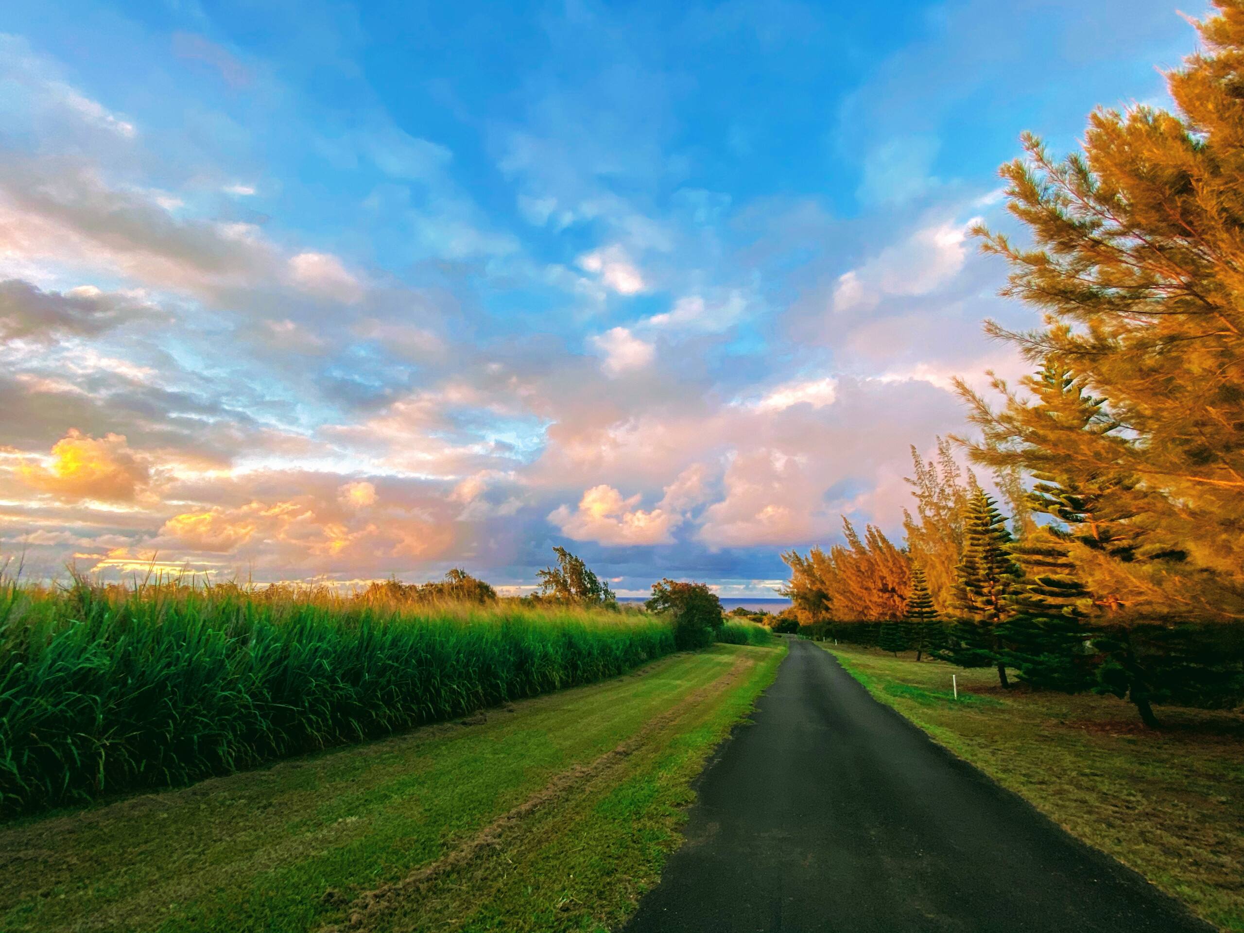 Aloha Cottage Upcountry Epic Views in Kohala - Photo 51