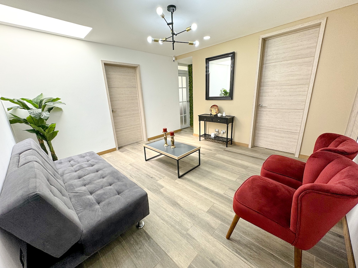 A modern living area features two seating options, including a gray sofa and a red armchair. A small black coffee table is centered in the space, complemented by decorative items. Greenery is presented with a potted plant, and natural light brightens the room through the ceiling panel.