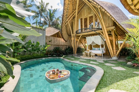 A unique Eco Bamboo house with rice field view
