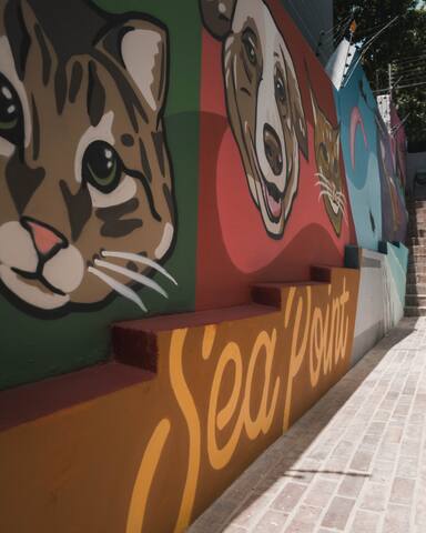 Sea Point Gem: 2BR/2BA & Solar! gallery image 2