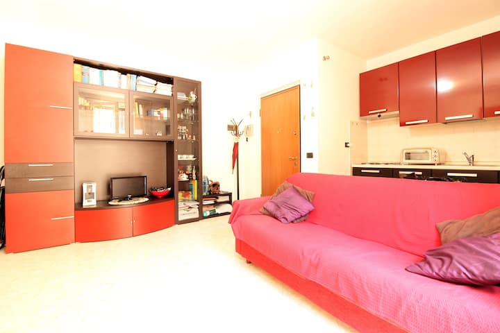 Flat House - Pavia
