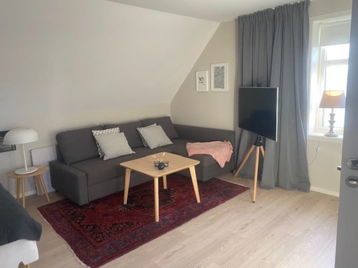 Lägenhet (Höger) I Lugnt Centralt Villaområde - Karlstad