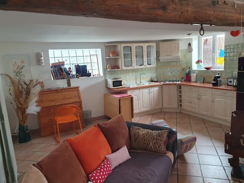 Airbnb performant: Small house at the back of the garden à Lyon