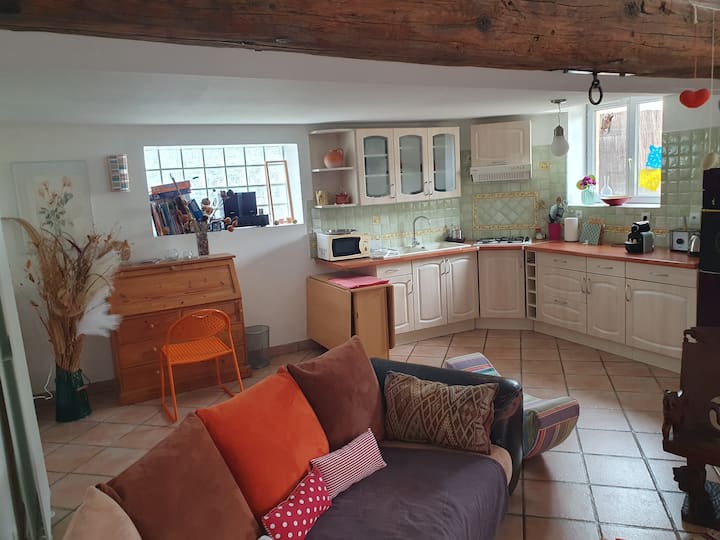 Petite Maison Au Fond Du Jardin - Oullins
