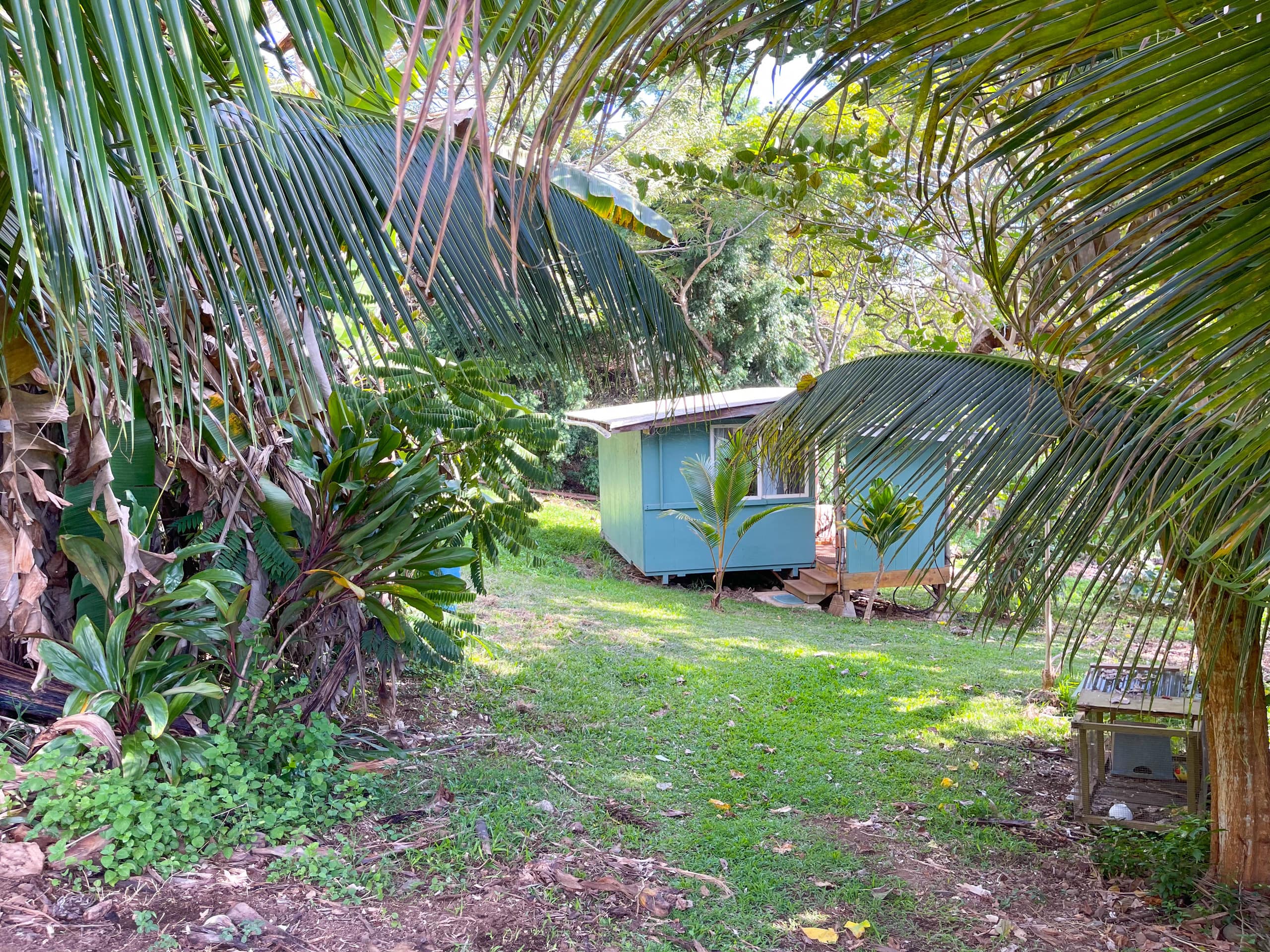 Kukui Cabin - Private bathroom and shared kitchen - Photo 7