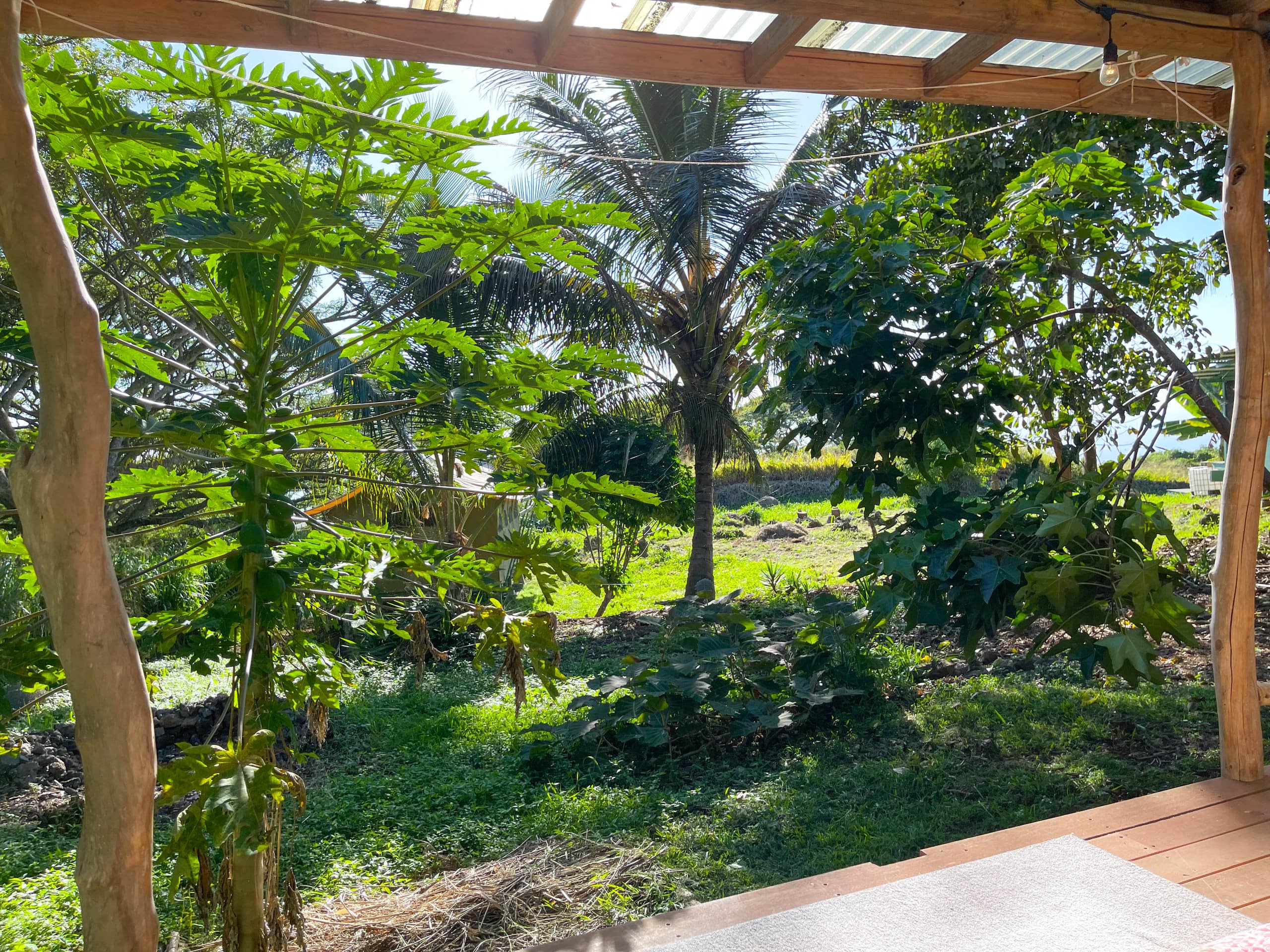Kukui Cabin - Private bathroom and shared kitchen - Photo 6