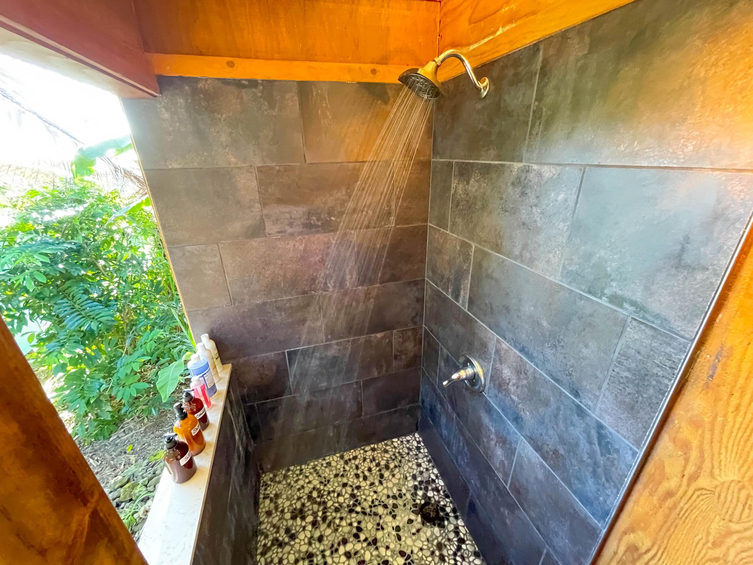 Monkeypod Canopy with Shared Kitchen and Bath - Photo 20