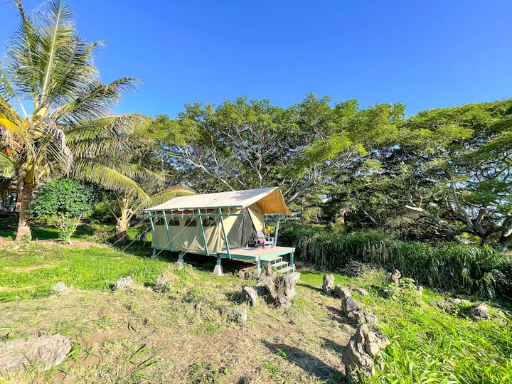 Monkeypod Canopy With Shared Kitchen And Bath - 캡틴 쿡