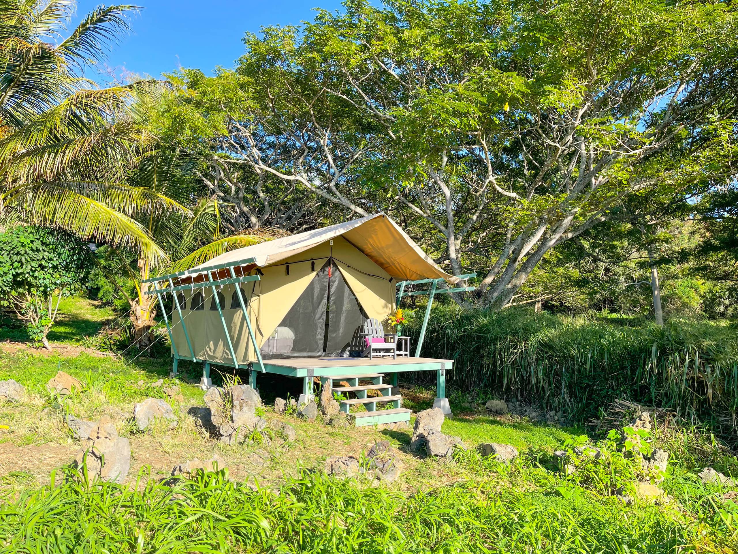 Monkeypod Canopy with Shared Kitchen and Bath - Photo 2