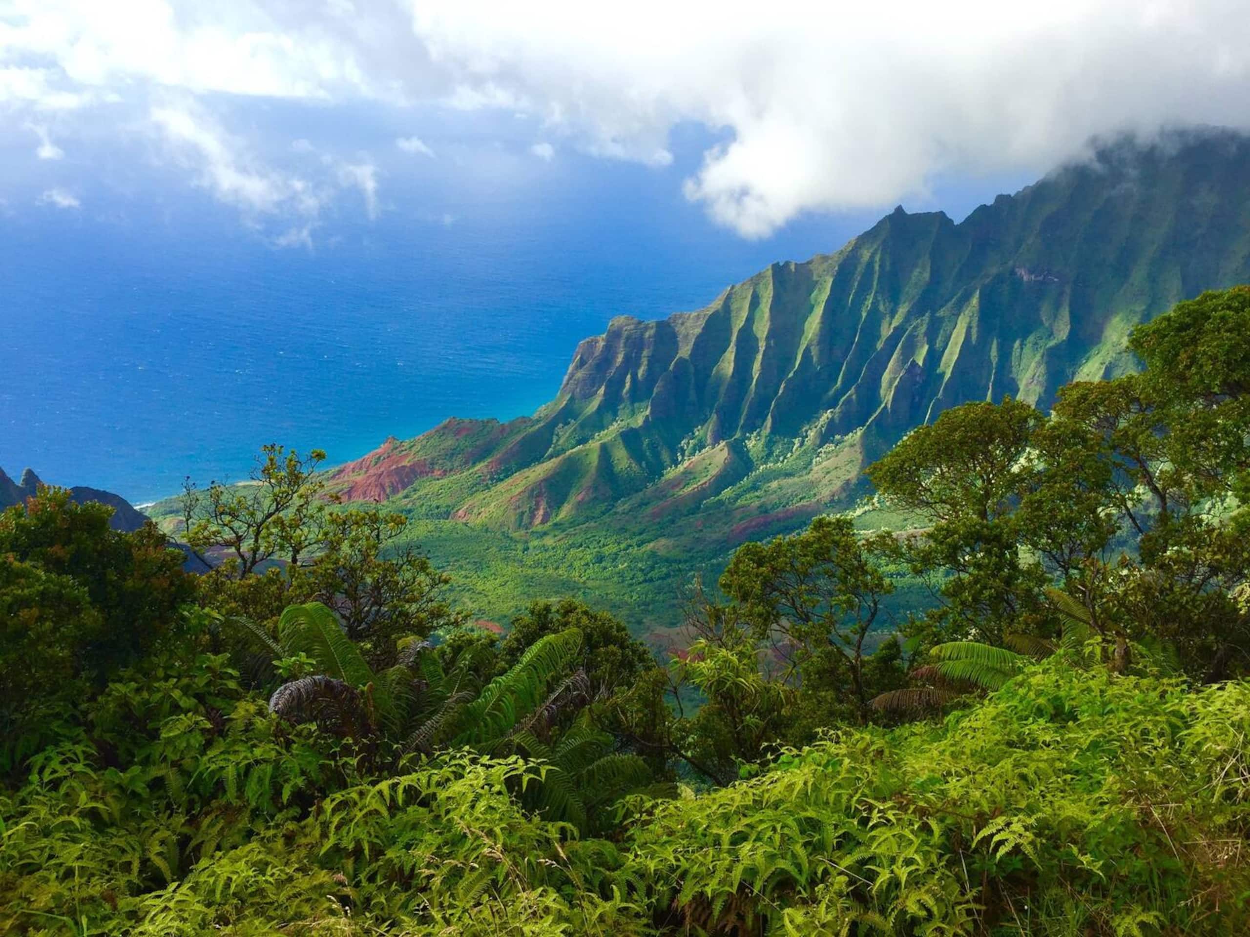 Condo in Koloa · ★4.81 · 1 bedroom · 2 beds · 1 bath - Photo 21