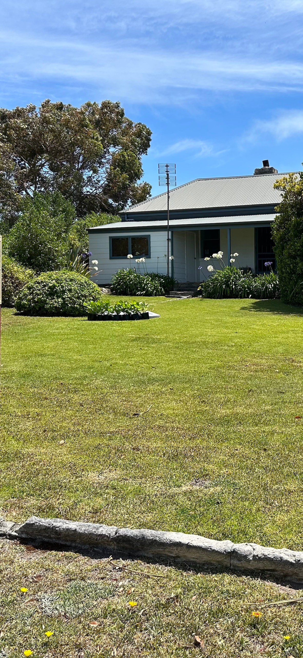 A charming cottage is viewed from the garden, surrounded by lush greenery. A manicured lawn stretches in front, punctuated by flowering plants. The exterior features a light-colored facade and a sloped roof, with a pathway leading to the entrance visible in the background.