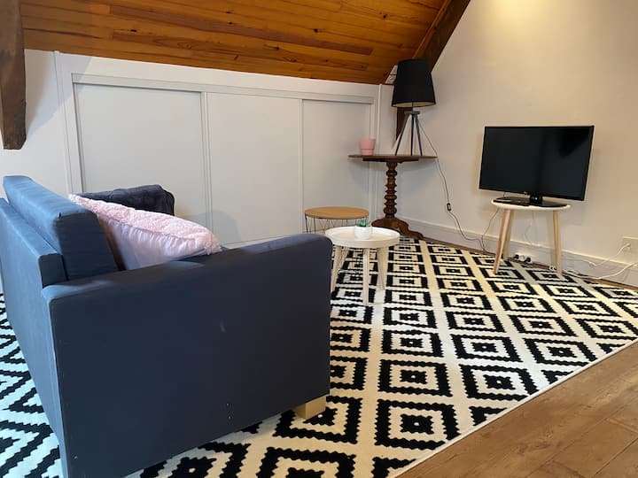 Charmant Appartement En Centre-ville - Cherrueix