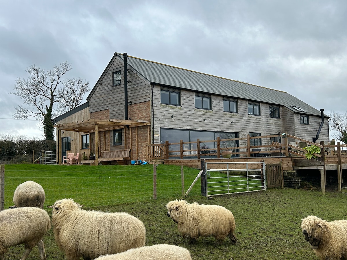 The exterior of a converted barn is shown, showcasing a spacious wooden deck and pergola. Friendly sheep graze in the foreground, while large windows provide views of the countryside. The building features a mix of wood and stone textures under a grey sky.