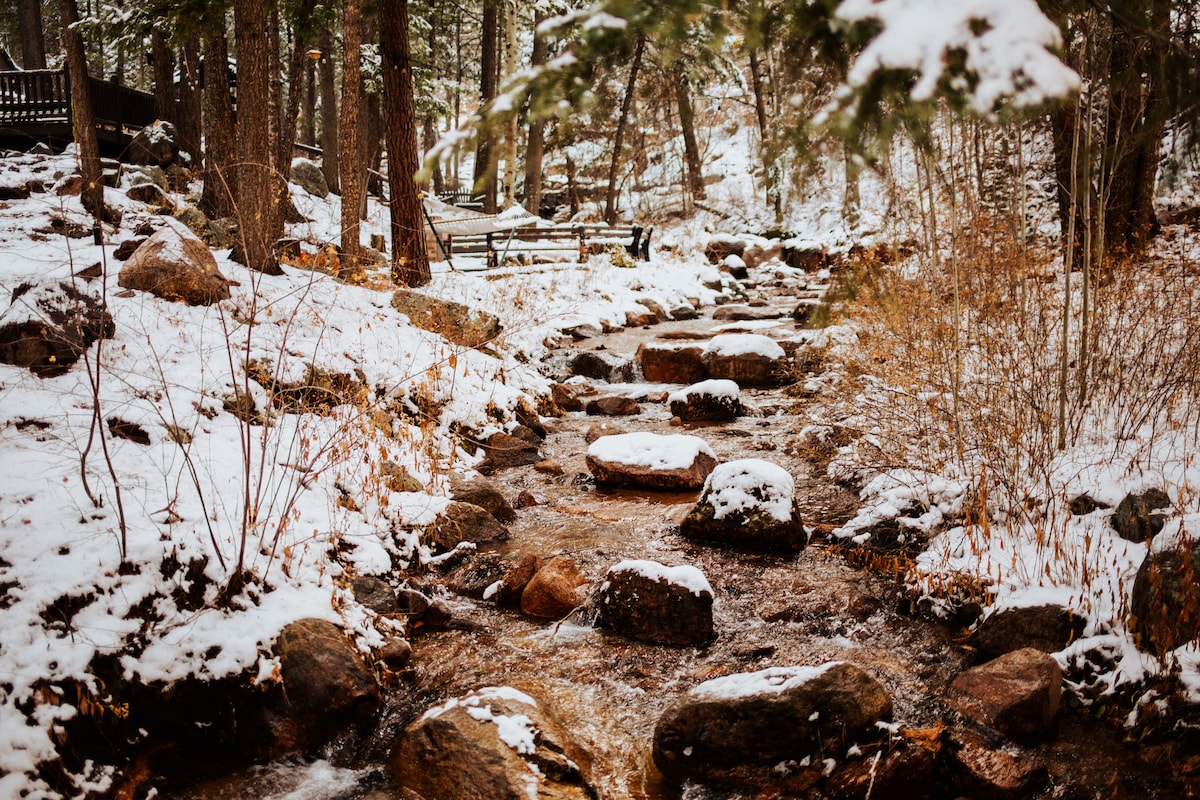 A serene creek flows over smooth stones, partially covered in snow. Surrounding trees provide a natural backdrop, with scattered rocks along the water's edge. Subtle orange and brown grasses peek through, enhancing the tranquil atmosphere of the snowy landscape.