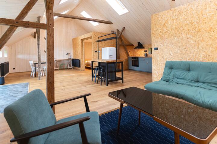 Cifra Gallery Loft - Czechia