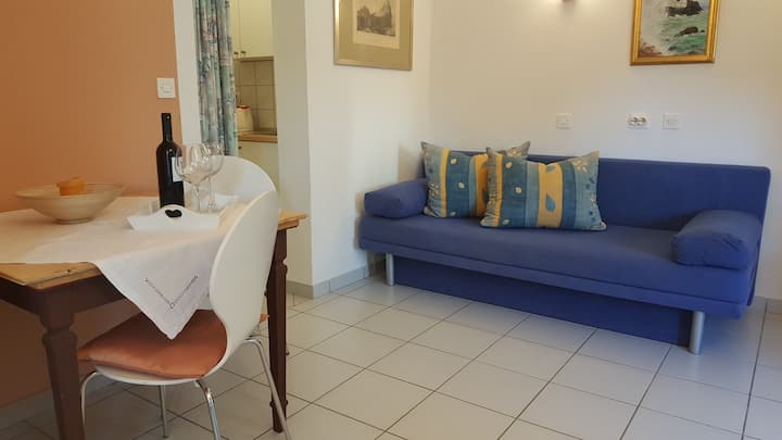 غرفة المعيشة