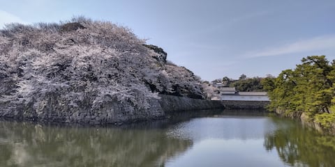 Entire building for 12 people_5-minute walk to Hikone Castle_5-minute walk to Hikonaniya Shrine_1 ho