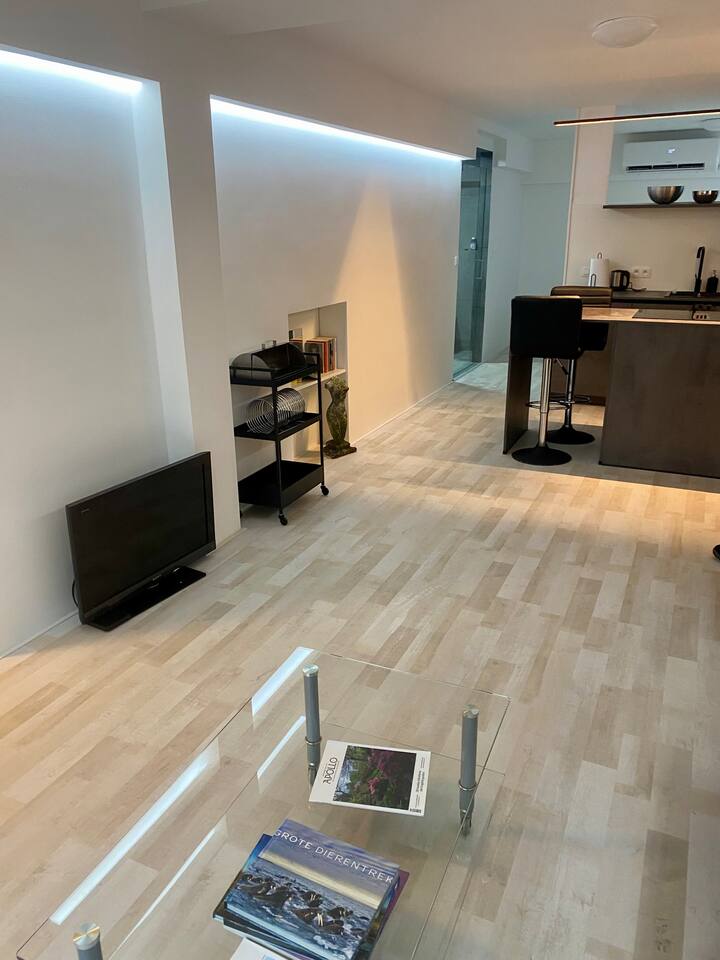 Studio De 2 Witte Berken - Aubel
