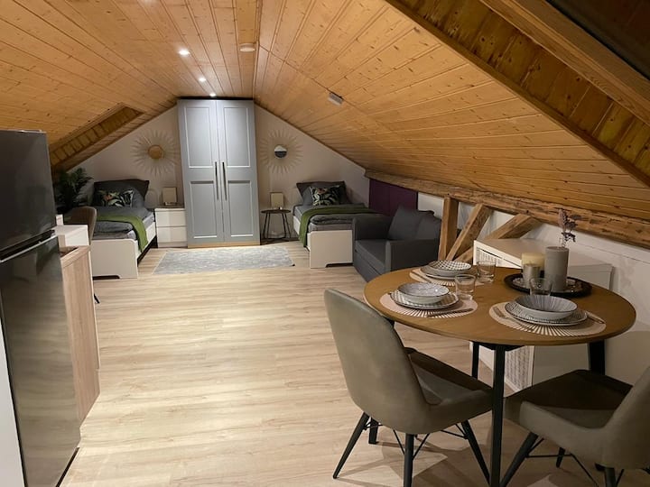 Komfortable Ferienwohnung. - Schneverdingen