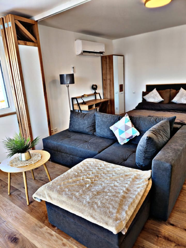 Lions Place Premium Executive Luxus Penthouse Spa - Heidenheim an der Brenz