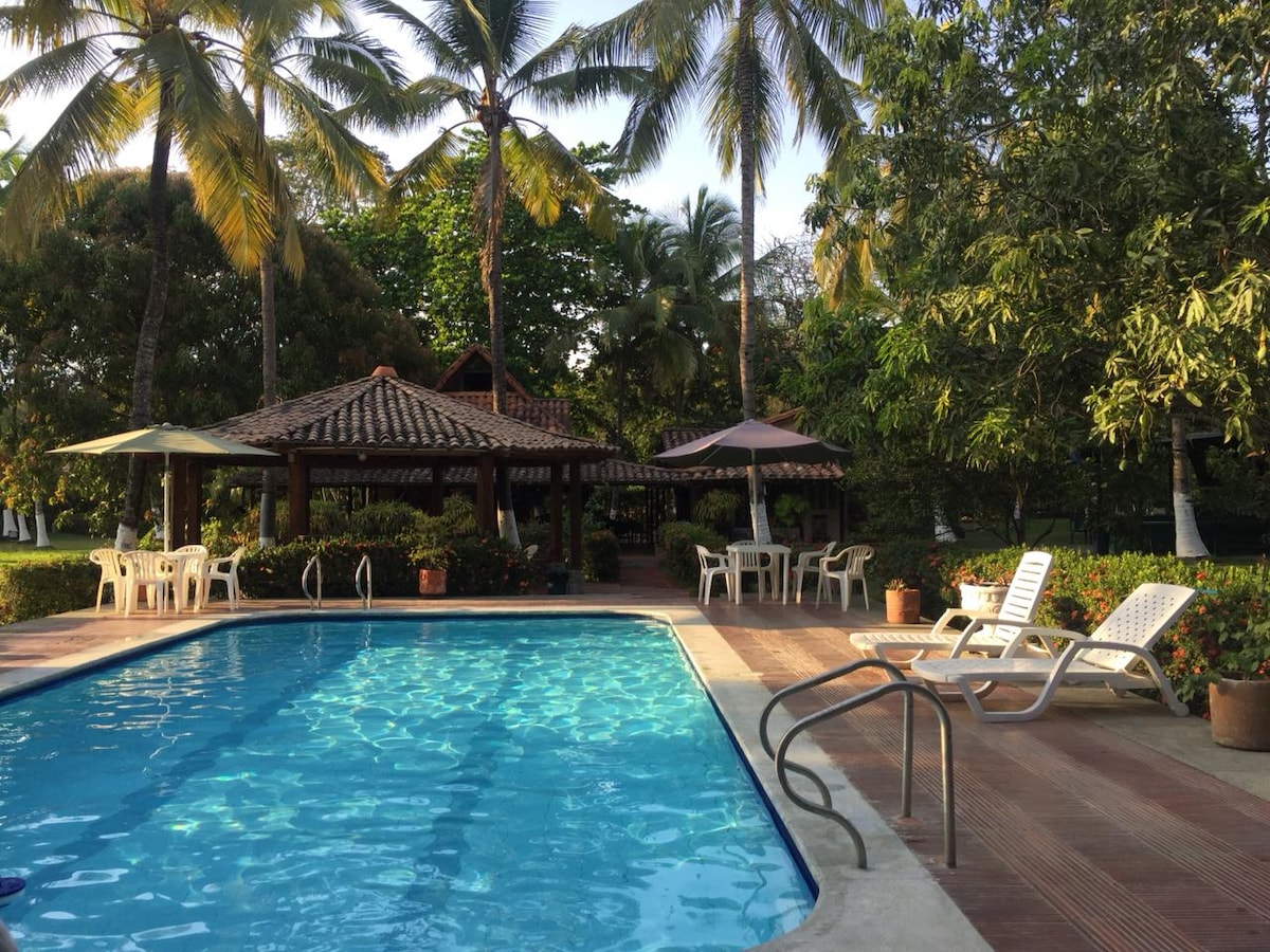 A clear swimming pool is surrounded by lush greenery and palm trees. Lounge chairs are positioned along the pool's edge. A shaded gazebo with seating is visible in the background, complemented by additional umbrellas offering shade. The area is designed for relaxation and enjoyment.