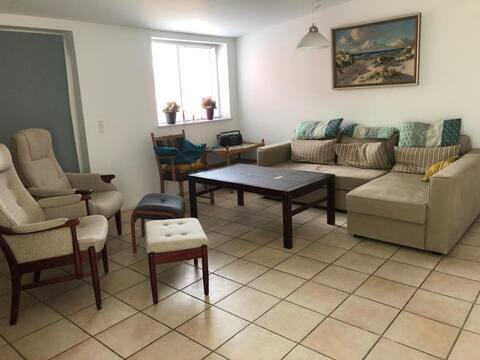 Successful Airbnb property: Spacious family-friendly apartment (E) in Randers