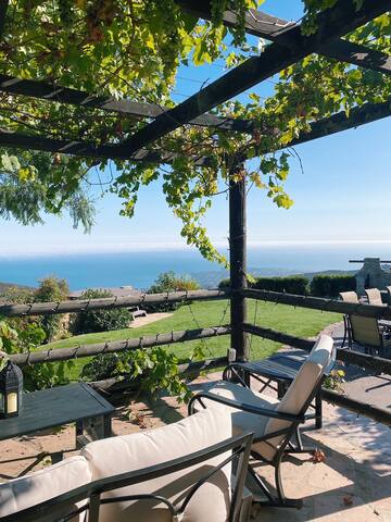 Malibu Solstice Vineyards gallery image 4