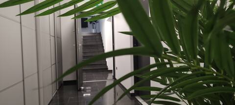 Apartament Comfort 7