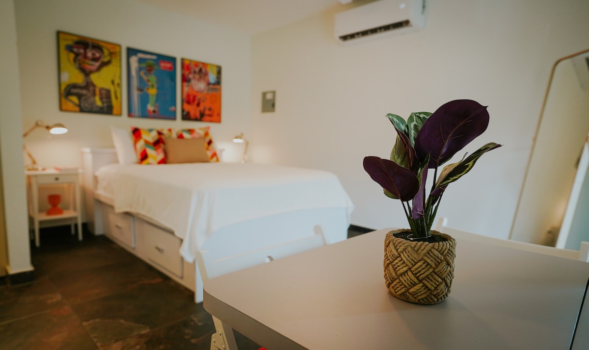 A spacious studio is highlighted by a queen bed dressed in white linens, complemented by colorful artwork on the walls. A small table with a decorative plant sits in the foreground, while soft lighting creates a comfortable atmosphere.