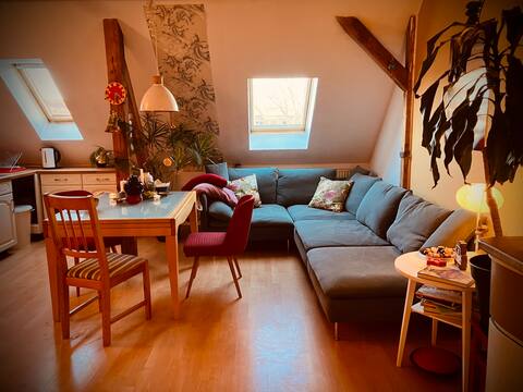 Top Airbnb: Cozy attic apartment in Schleußig