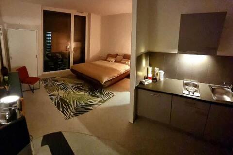 Studio in the heights of Lausanne 08