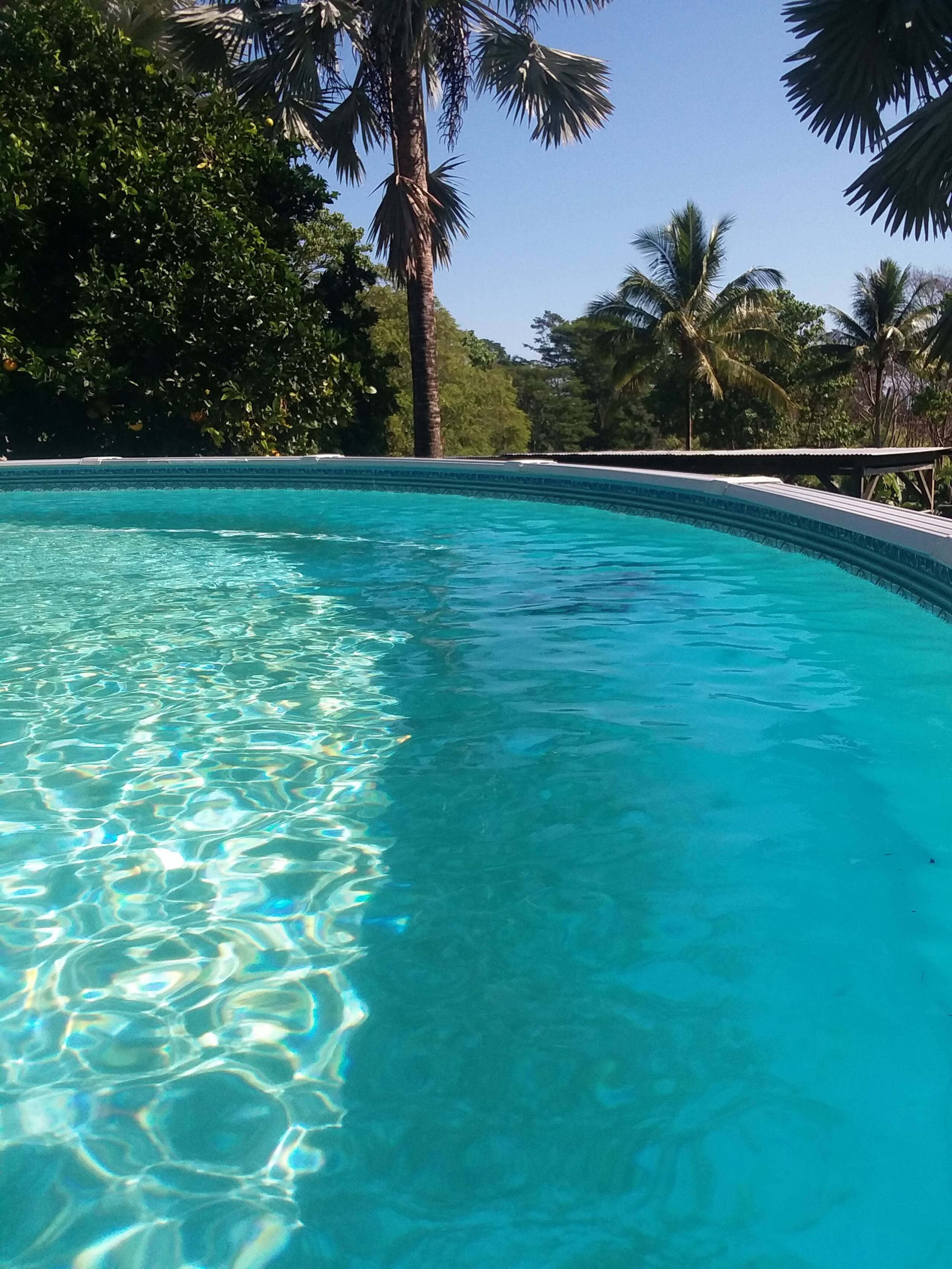 Home in Papaikou · ★5.0 · 1 bedroom · 1 bed · 1 bath - Photo 18