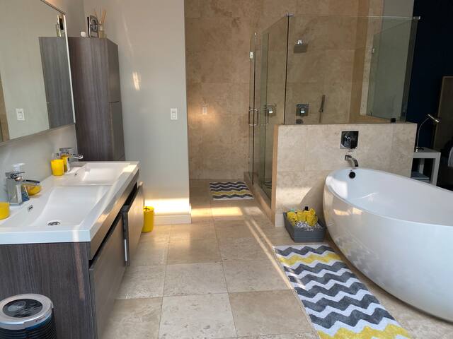 Luxury loft Penthouse live-work modern DTLA views gallery image 3