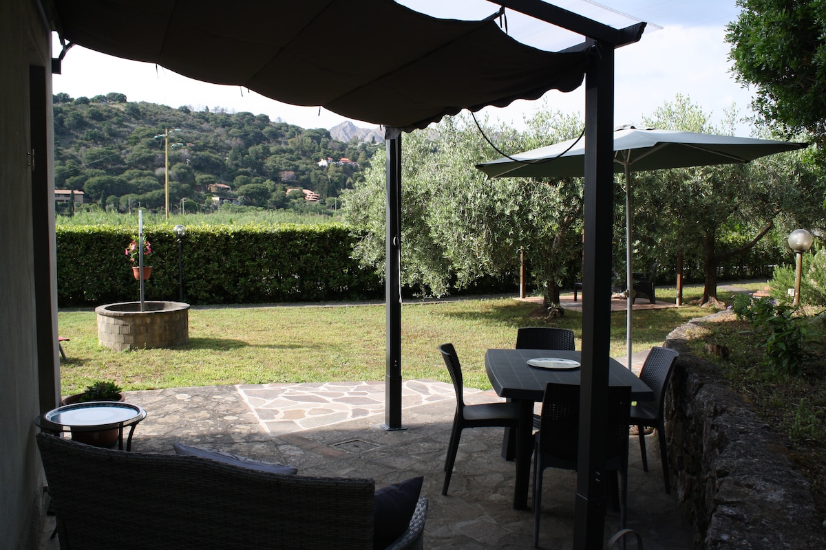 An outdoor patio area is visible, featuring a stone-paved surface with a dining table and chairs. Two umbrellas provide shade over the seating arrangement. An open green space extends beyond, dotted with olive trees, and a circular stone well is centered in the yard.