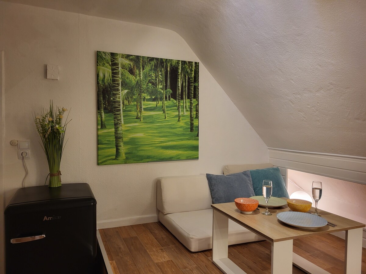 Popular Airbnb listing: Apartment near Klinikum Kassel - light and calm in Kassel