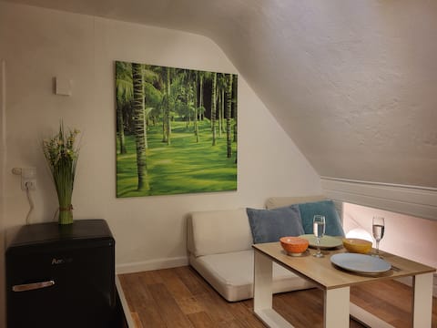 Popular Airbnb listing: Apartment in Kassel, near Klinikum, light and calm in Kassel