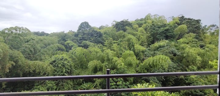 Hospedaje Ruta De Los Ancestros - Pereira, Colombia