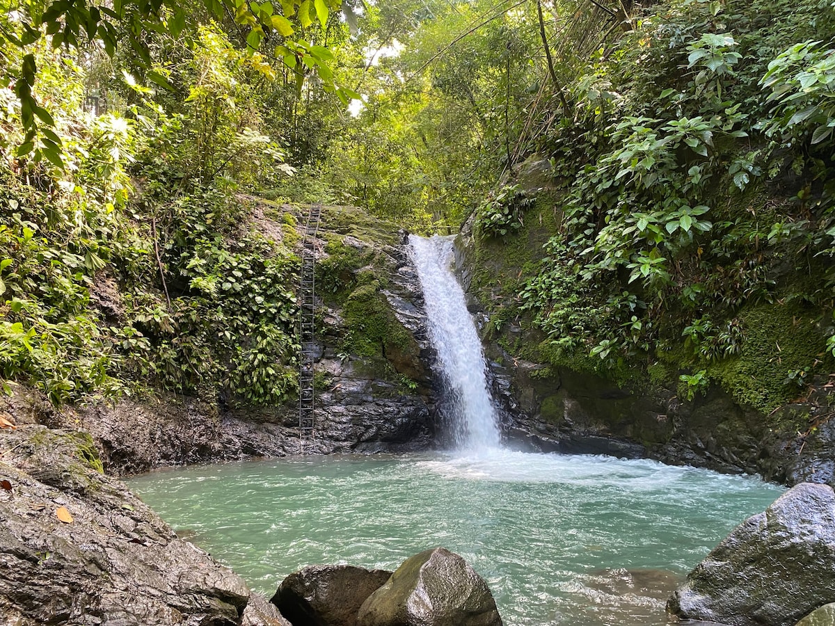 A cascading waterfall flows into a tranquil pool, surrounded by lush green foliage and rocks. Sunlight filters through the trees, casting gentle reflections on the water's surface, creating an inviting natural setting ideal for relaxation.
