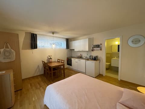 Successful Airbnb property: Studio Apartment Lungern-Obsee in Obwalden