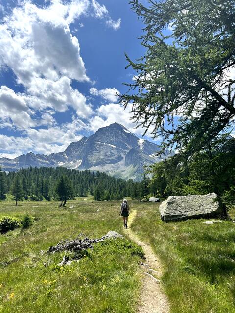 Charming Alpe Devero Hideaway