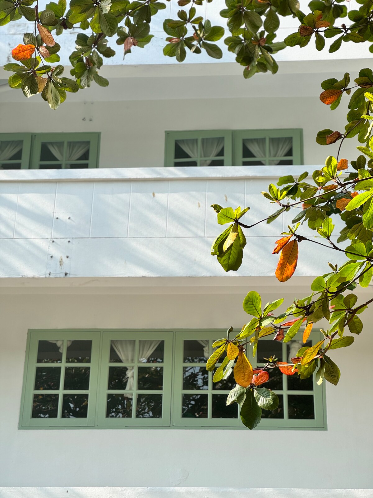 A white structure features green-framed windows adorned with white curtains. The image presents a view filtered through leafy branches, highlighting the natural surroundings and inviting daylight that brightens the facade.