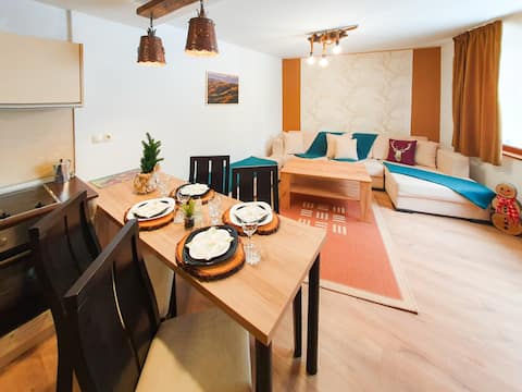 Low Cost 2 bedroom Pamporovo Joy Apartment