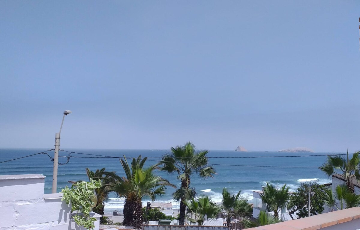 A panoramic view of the ocean is presented, with gentle waves rolling onto a sandy beach. Lush palm trees frame the foreground, while distant rocky formations are visible on the horizon under a clear blue sky.