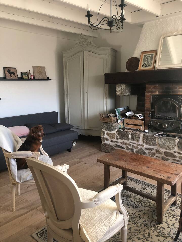 غرفة المعيشة حيث يمكنك الراحة بجانب النار، أو مشاهدة التلفزيون